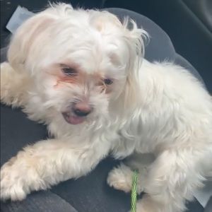 Meet your Posher, Alaynna